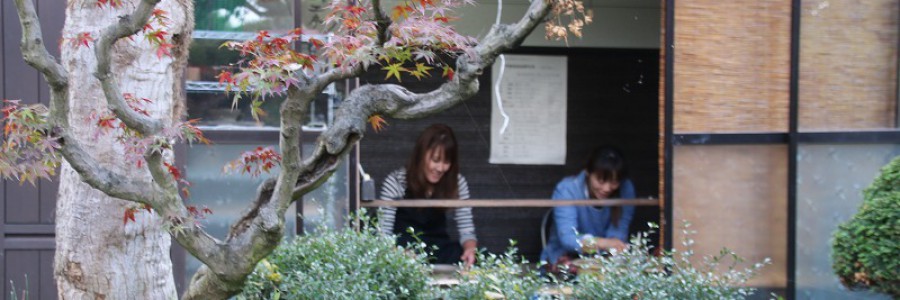 header-image